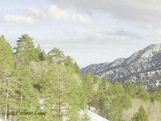 snowshoe hike